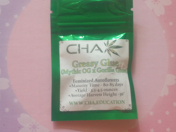Sell: Greasy Glue - CHA - 5 Auto Fems