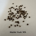 Vente: Master Kush 90’s 15+ seeds pack free shipping