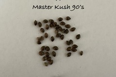 Sell: Critical 99 x Master Kush 90’s 15+ seeds pack free shipping