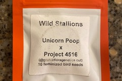 Sell: Wild Stallions - LIT Farms
