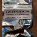 Venta: Bandaid Haze IX 3.0