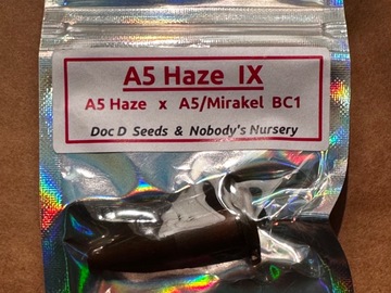 Sell: A5 Haze IX