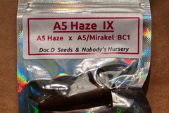 Sell: A5 Haze IX