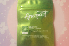 Sell: City Slicker - Greenpoint Seeds