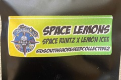Sell: SPACE RUNTZ x LEMON ICEE