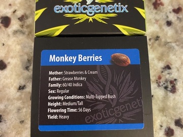 Sell: EXOTIC GENETIX - MONKEY BERRIES