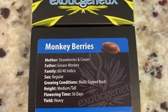 Vente: EXOTIC GENETIX - MONKEY BERRIES