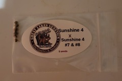 Sell: Sunshine #4