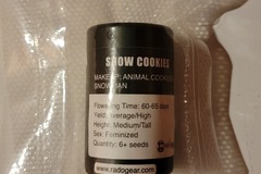 Sell: Snow Cookies - Cannarado