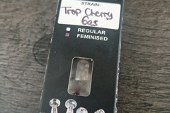 Sell: Relentless - Trop Cherry Gas