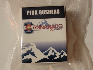 Vente: Pink Gushers - Cannarado