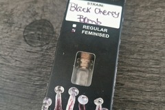Sell: Relentless - Black Cherry Bomb
