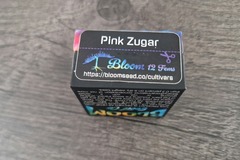 Vente: Bloom - Pink Zugar