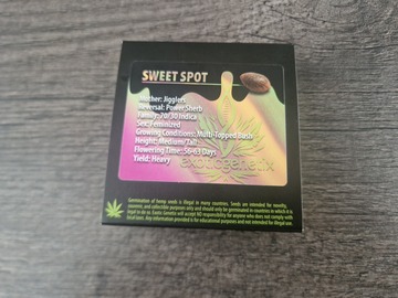 Venta: Exotic Genetix - Sweet Spot