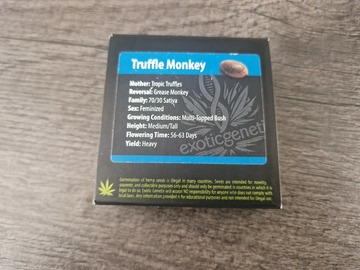 Vente: Exotic Genetix - Truffle Monkey