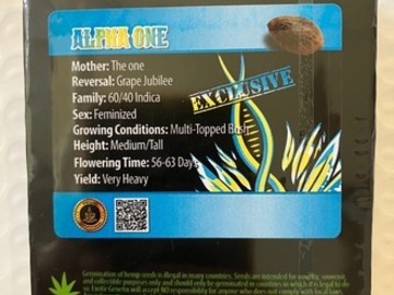 Auction: (AUCTION) Alpha One from Exotic Genetix
