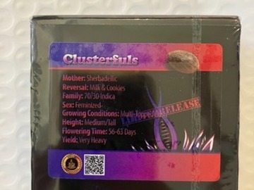 Auction: (AUCTION) Clusterfuls from Exotic Genetix