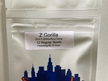 Enchères: (auction) Z Gorilla from Top Dawg