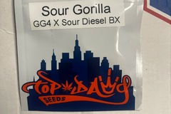 Sell: Sour Gorilla - Top Dawg Seeds