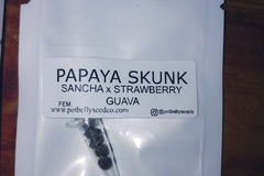 Venta: Papaya Skunk