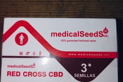Vente: Red cross Cbd medical seeds