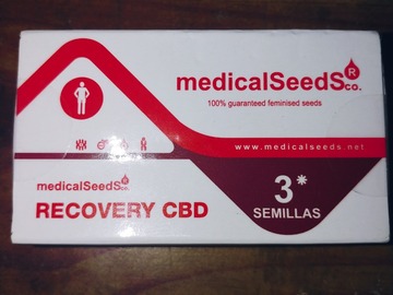 Venta: Recovery Cbd by MedicalSeedsco