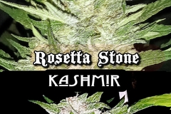 Vente: 'KASHMARA STONE'⭐ Rosetta Stone x  Kashmir'     {f-1}  regs.
