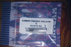 Vente: Tiki Madman- 10 Regs  Lemon Cherry Gelato x Runts Bx
