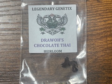 Sell: Snowhigh Heirloom Drawohs Chocolate Thai