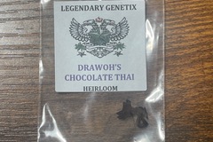 Vente: Snowhigh Heirloom Drawohs Chocolate Thai