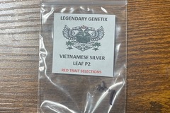 Sell: Snowhigh Hoa Bac  Vietnamese Silver Leaf p2 Red Trait