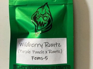Vente: Robinhood Seeds- Wildberry Runtz