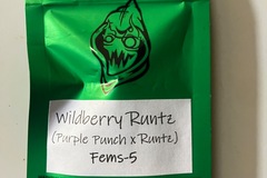 Venta: Robinhood Seeds- Wildberry Runtz