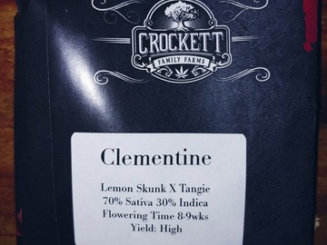 Sell: Crockett Family Farms : Clementine Regs