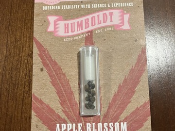 Enchères: Apple Blossom Seeds FEM Humboldt Seed Company 10-Pack