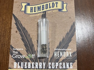 Subastas: Blueberry Cupcake Seeds FEM 10 PACK from Humboldt Seed Company