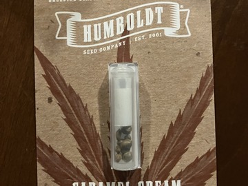 Auction: CARMEL CREAM SEEDS FEM 10-PACK From Humboldt Seed Company