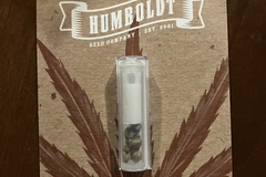 Enchères: CARMEL CREAM SEEDS FEM 10-PACK From Humboldt Seed Company