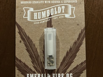 Auction: EMERALD FIRE OG Seeds FEM 10-PACK Humboldt Seed Company