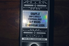 Venta: Crockett Family Farms: Grape- X Regs