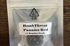 Enchères: (AUCTION) Bombthreat x Panama Red from CSI Humboldt