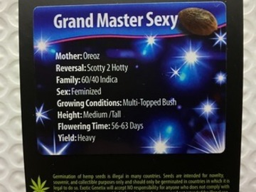Enchères: (AUCTION) Grand Master Sexy from Exotic Genetix