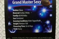 Auction: (AUCTION) Grand Master Sexy from Exotic Genetix