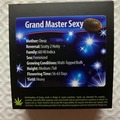 Enchères: (AUCTION) Grand Master Sexy from Exotic Genetix
