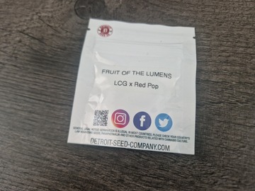 Sell: Detroit Seed Co - Fruit of the Lumens