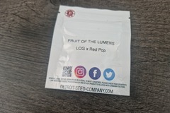 Detroit Seed Co - Fruit of the Lumens