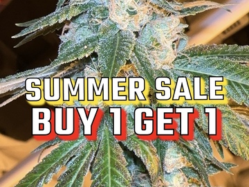 Vente: Summer Sale (buy 1 get 1)