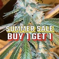 Venta: Summer Sale (buy 1 get 1)