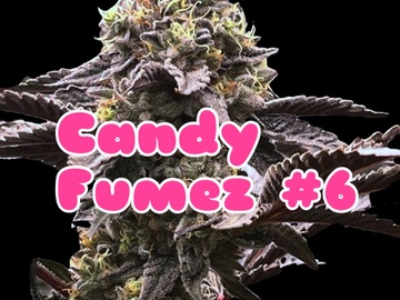 Vente: Candy Fumez 6