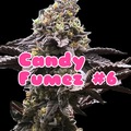 Sell: Candy Fumez 6